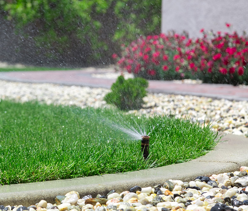 Sprinkler watering grass